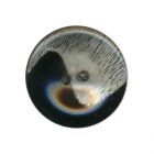 Bouton transparent et noir en 18 et 23 mm